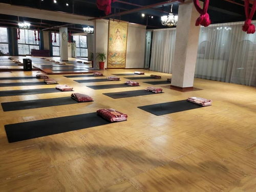 暖豐石墨烯電熱膜地暖 瑜伽館、養(yǎng)生館與健身房的應(yīng)用優(yōu)勢(shì)及研發(fā)進(jìn)展