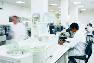 玫瑰綻放富陽，國妝筑夢未來 記杭州好公司的民族品牌之路